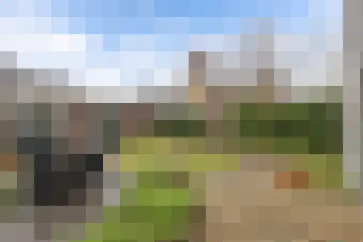 Reggestraat 31 Emmeloord thumbnail 30
