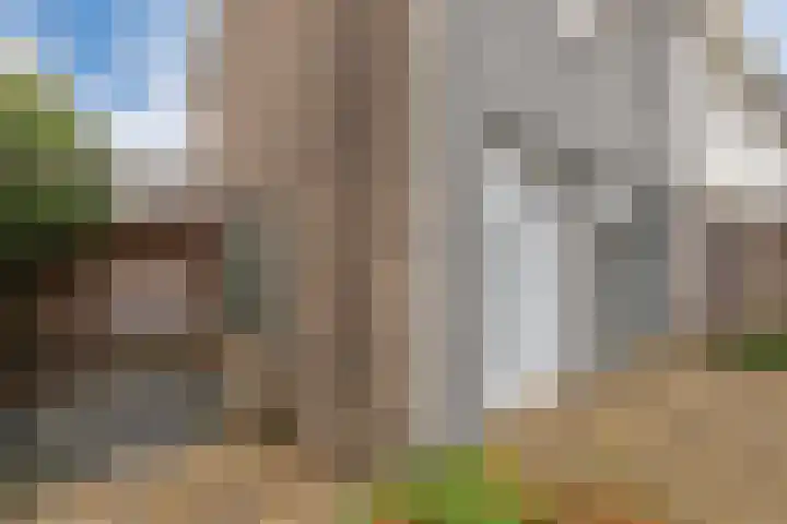 Reggestraat 31 Emmeloord thumbnail 31