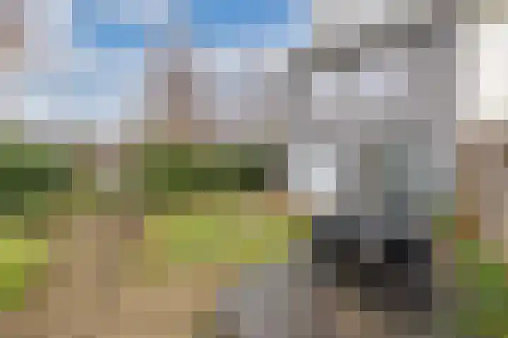 Reggestraat 31 Emmeloord thumbnail 32