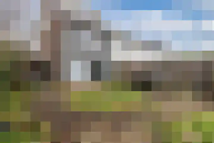 Reggestraat 31 Emmeloord thumbnail 34