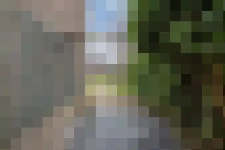 Reggestraat 31 Emmeloord thumbnail 35