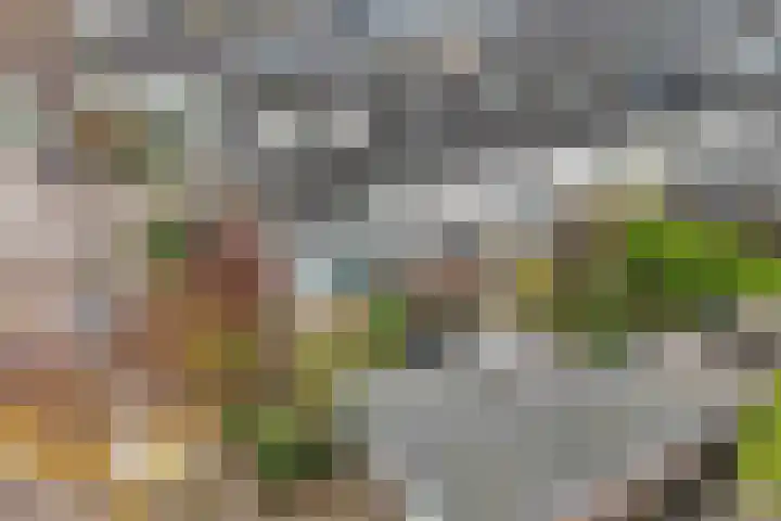 Reggestraat 31 Emmeloord thumbnail 38