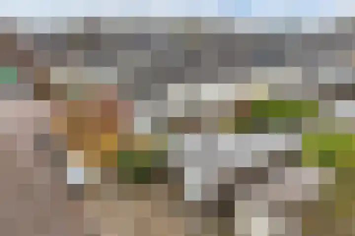 Reggestraat 31 Emmeloord thumbnail 39