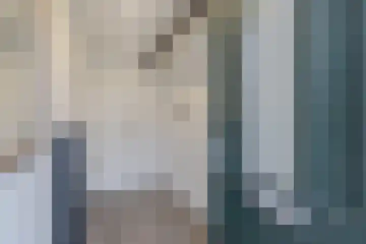 Reggestraat 31 Emmeloord thumbnail 6