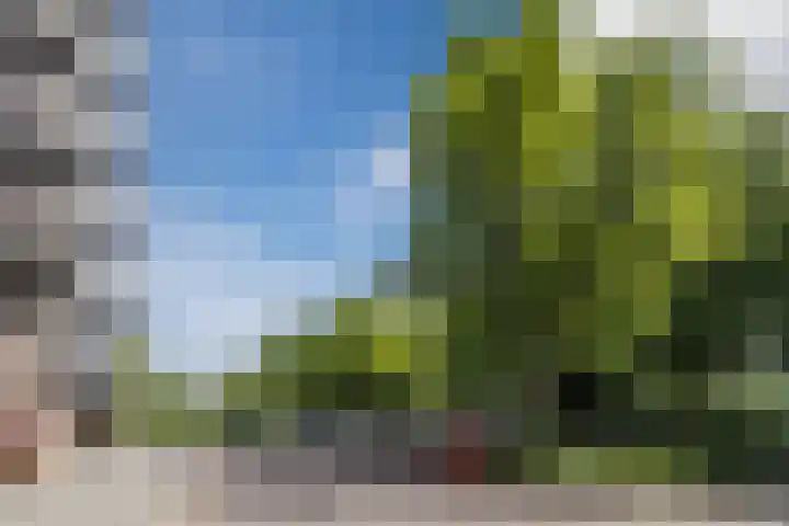 Reggestraat 35 Ridderkerk thumbnail 26
