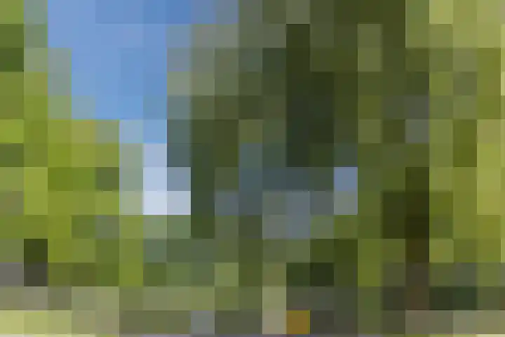 Reggestraat 35 Ridderkerk thumbnail 30