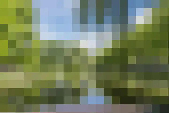 Reggestraat 35 Ridderkerk thumbnail 31
