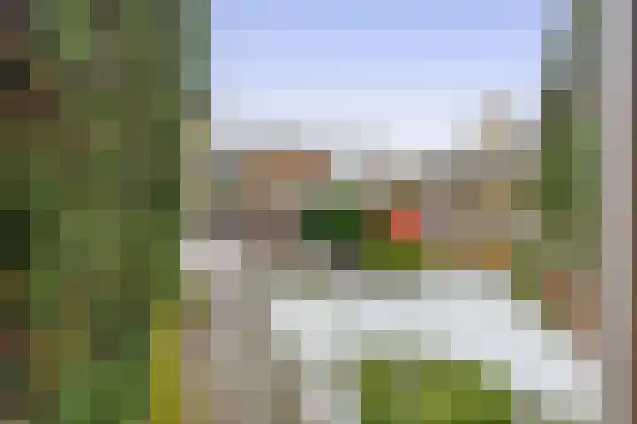 Reggestraat 46 Den Helder thumbnail 18