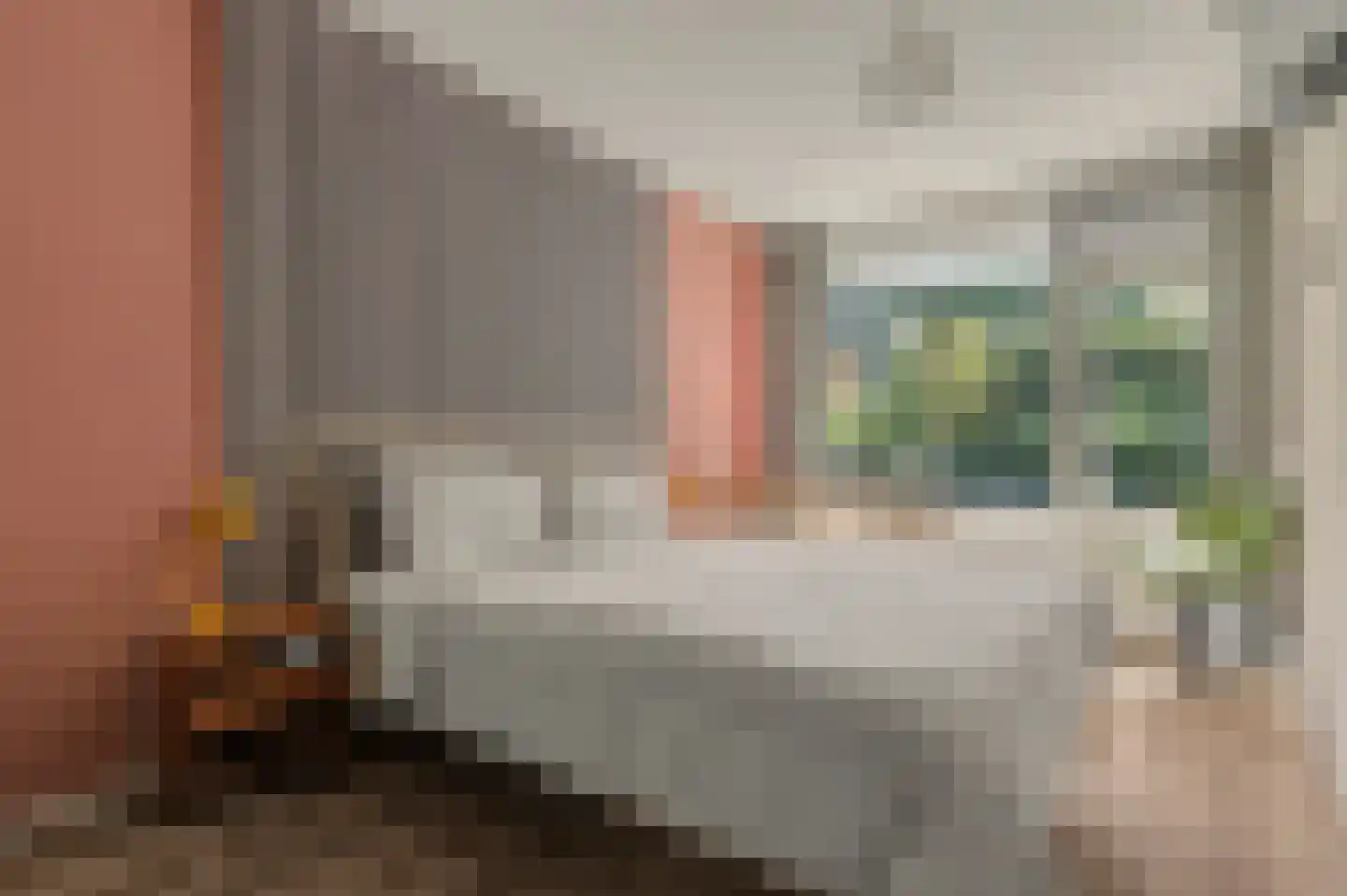 Reggestraat 5 Ridderkerk thumbnail 21