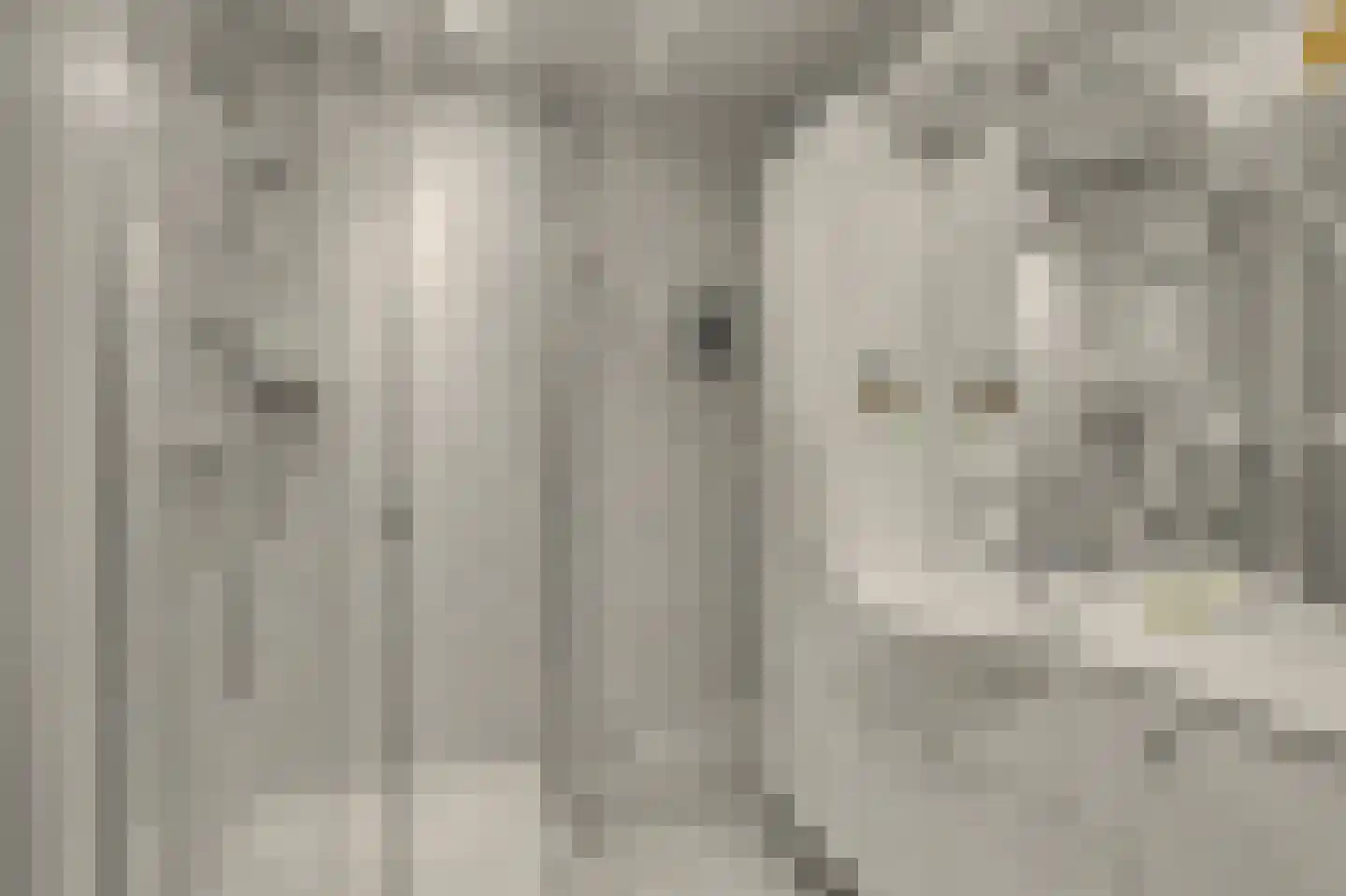 Reggestraat 5 Ridderkerk thumbnail 23