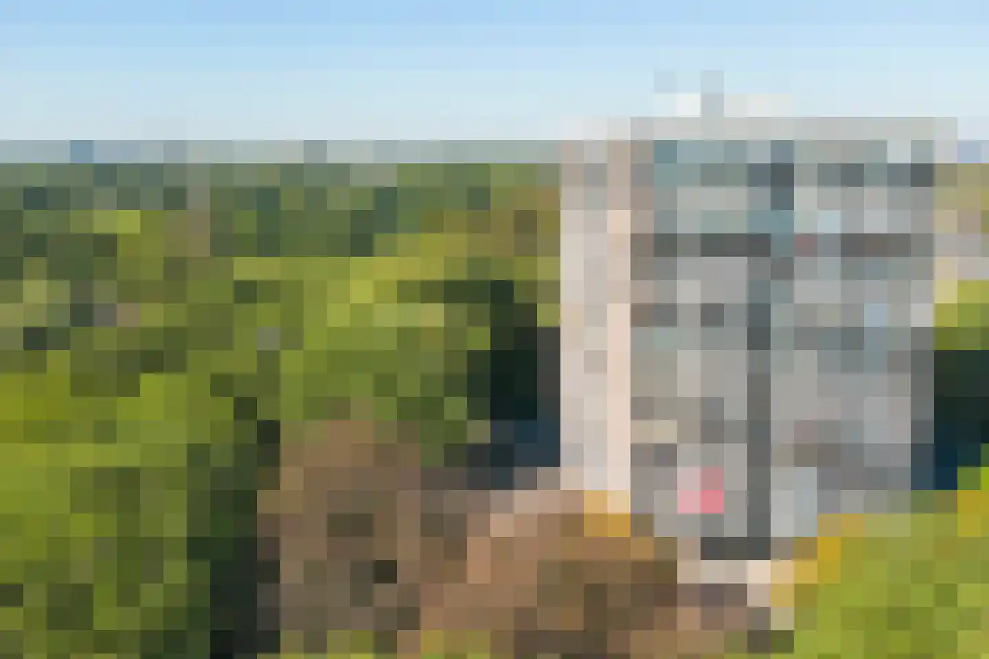 Reggestraat 5 Ridderkerk thumbnail 30