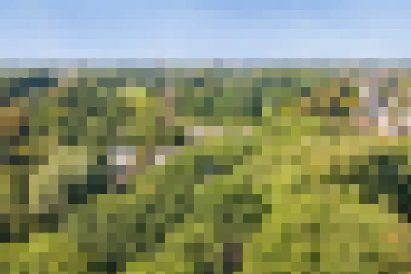 Reggestraat 5 Ridderkerk thumbnail 31