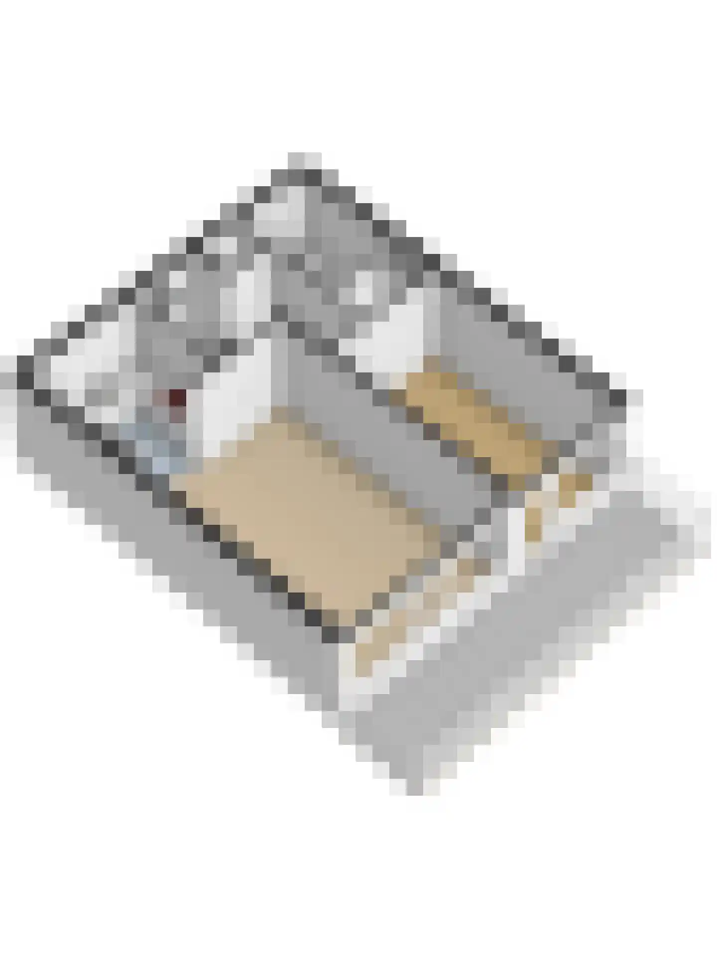 Reggestraat 5 Ridderkerk thumbnail 33