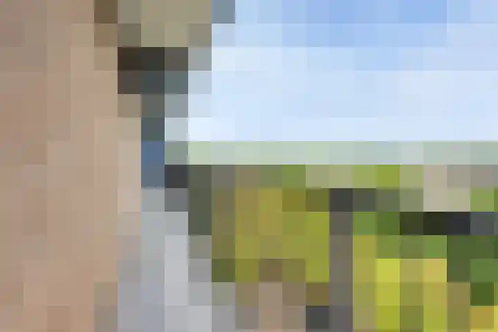 Reggestraat 55 Ridderkerk thumbnail 17