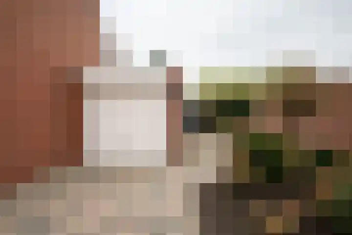 Reggestraat 57 Winschoten thumbnail 41