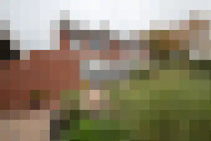 Reggestraat 57 Winschoten thumbnail 44