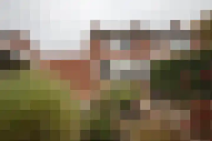 Reggestraat 57 Winschoten thumbnail 45