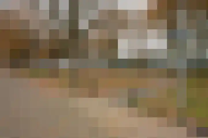 Reggestraat 57 Winschoten thumbnail 8