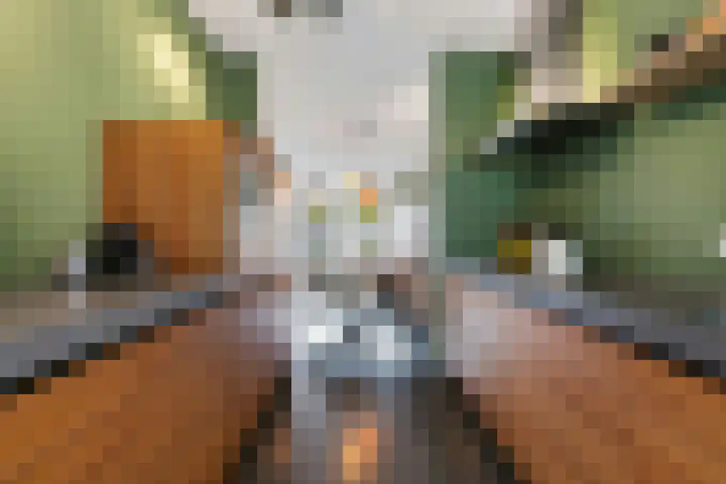 Reggestraat 59 Dongen thumbnail 13