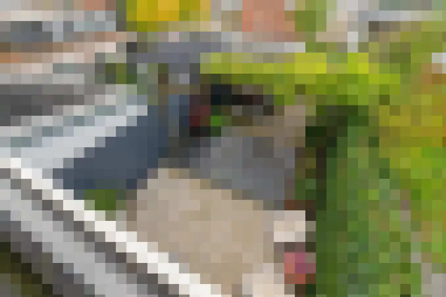 Reggestraat 59 Dongen thumbnail 18