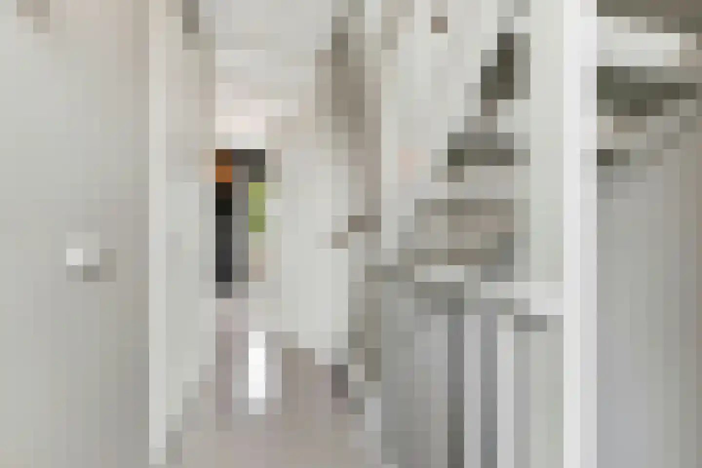 Reggestraat 59 Dongen thumbnail 28