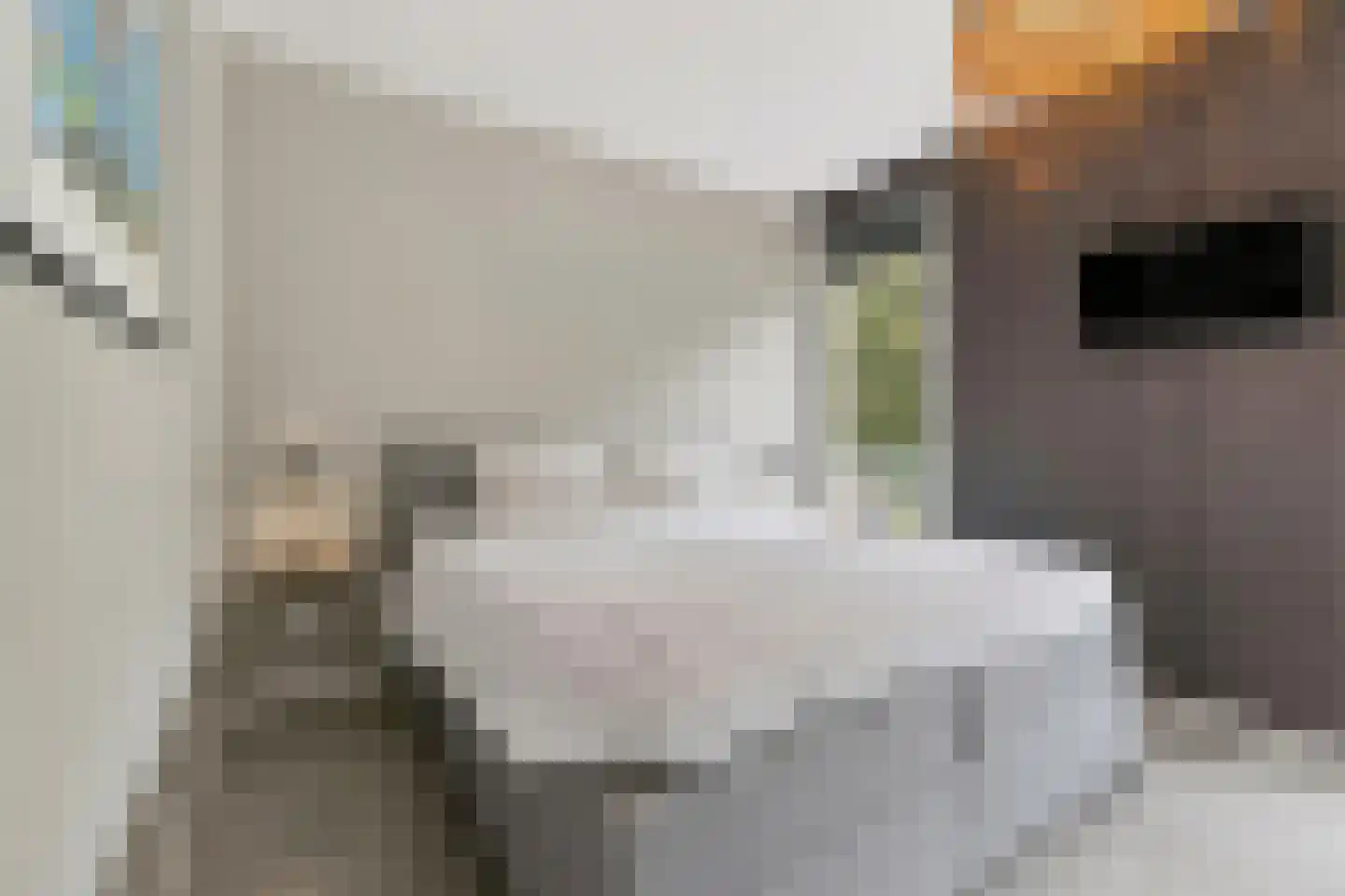 Reggestraat 59 Dongen thumbnail 30