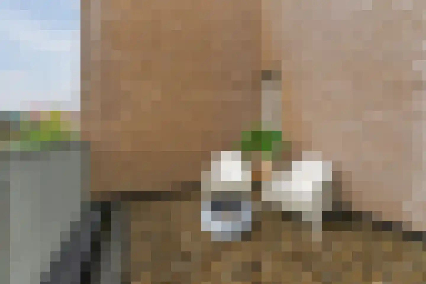 Reggestraat 59 Dongen thumbnail 38