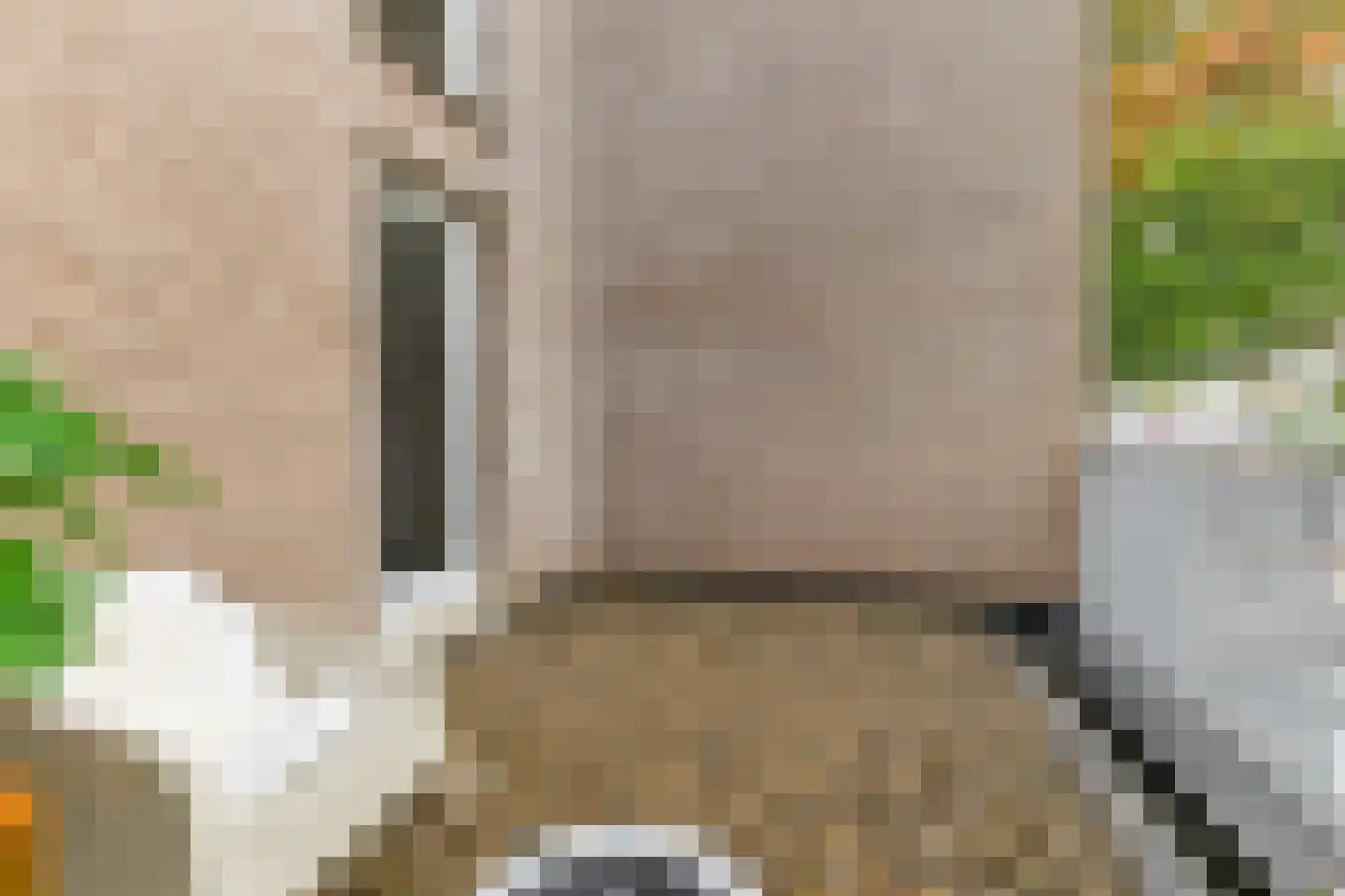 Reggestraat 59 Dongen thumbnail 39
