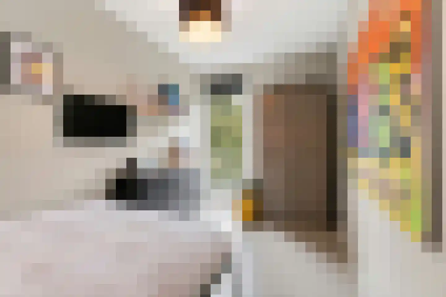 Reggestraat 59 Dongen thumbnail 42