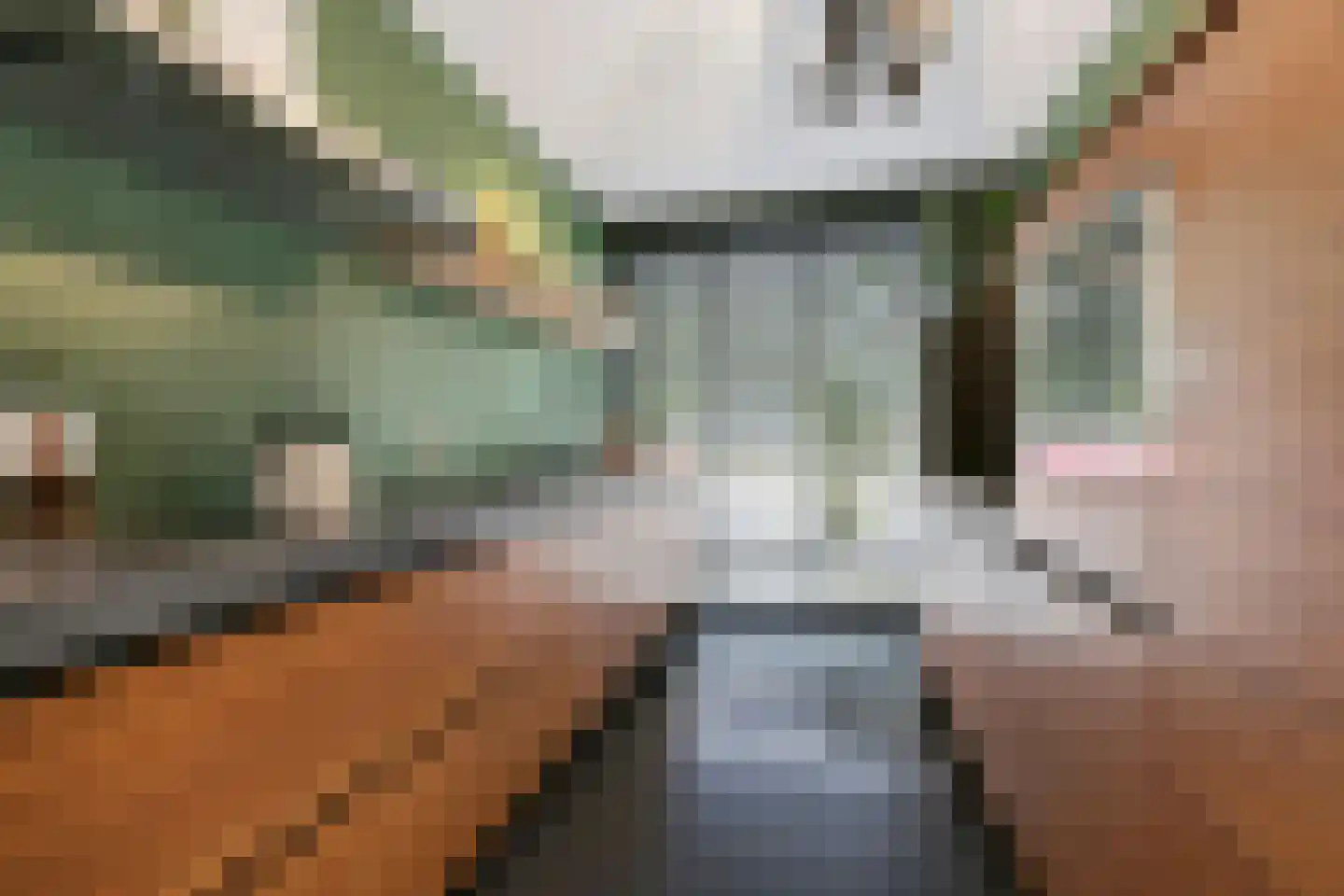 Reggestraat 59 Dongen thumbnail 5