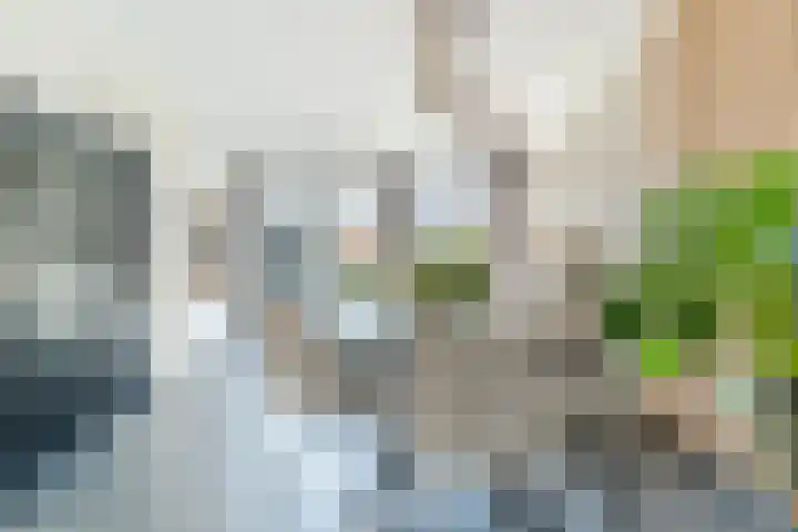 Reggestraat 63 Dongen thumbnail 13