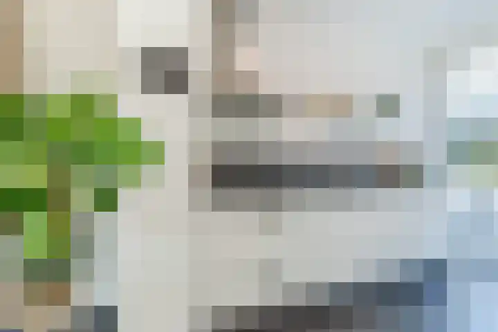 Reggestraat 63 Dongen thumbnail 5