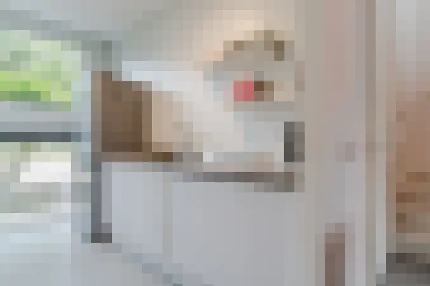 Reggestraat 69 Dongen thumbnail 17
