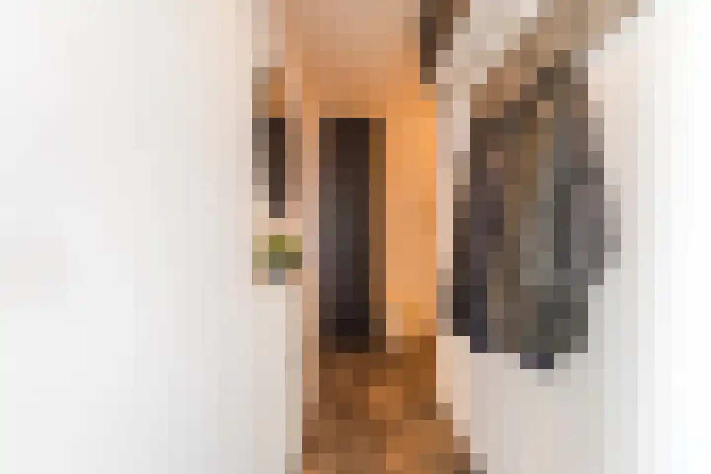 Reggestraat 73 Ridderkerk thumbnail 20