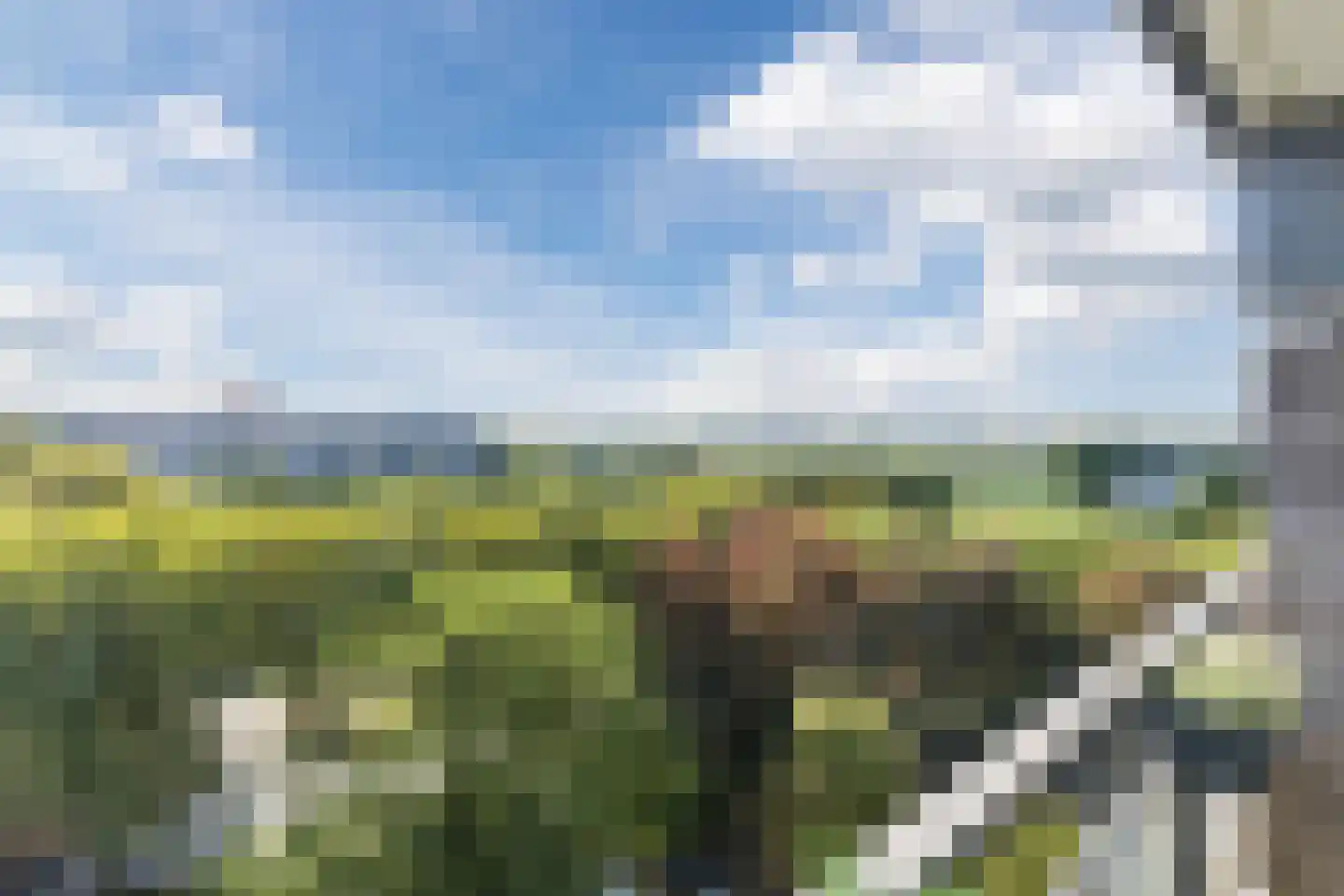 Reggestraat 73 Ridderkerk thumbnail 5