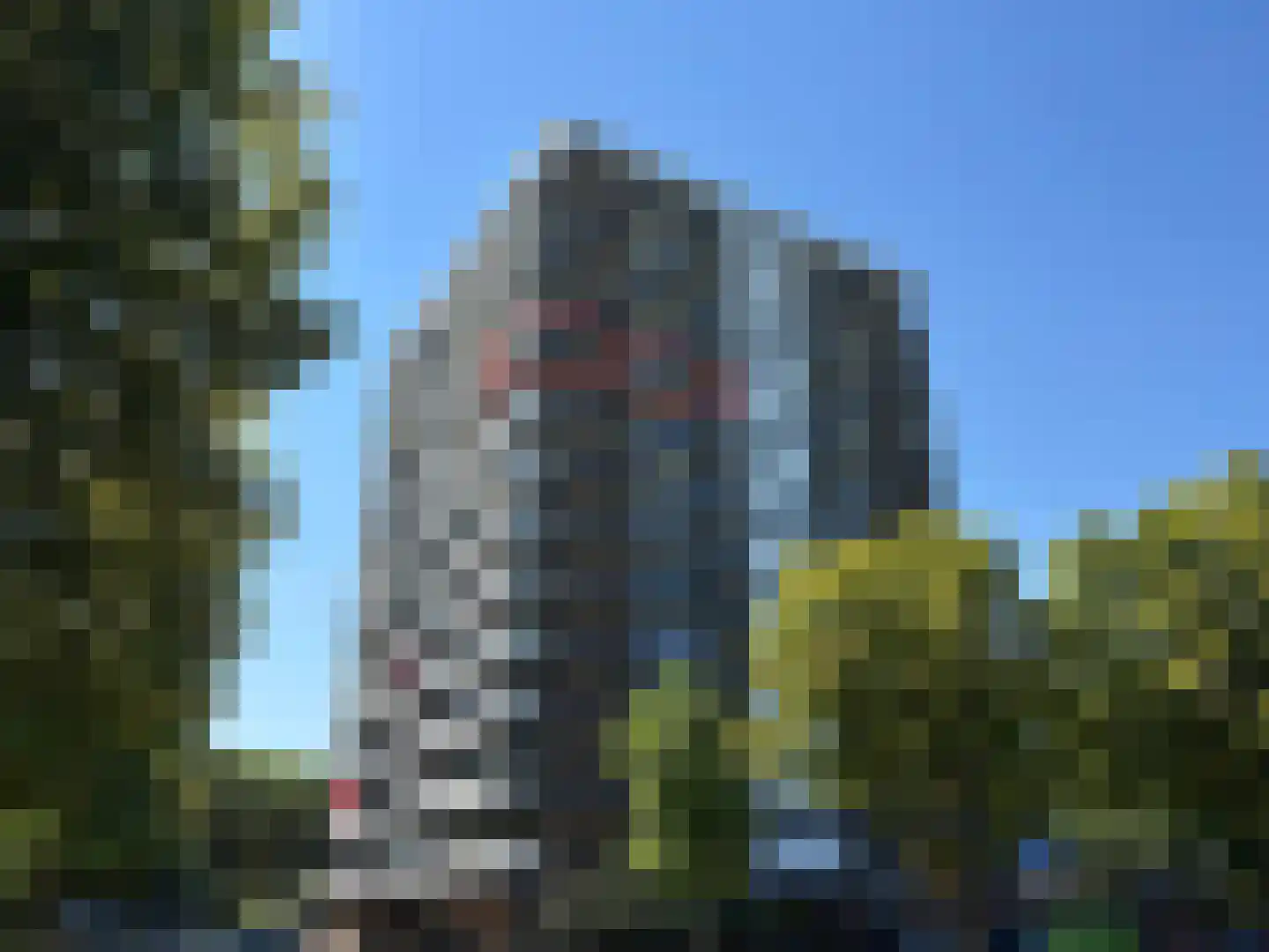Reggestraat 73 Ridderkerk thumbnail 6