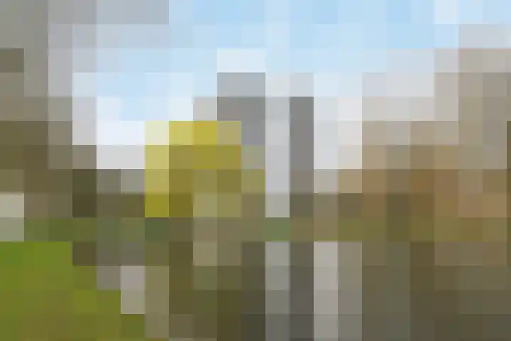 Reggestraat 74 Ridderkerk thumbnail 21