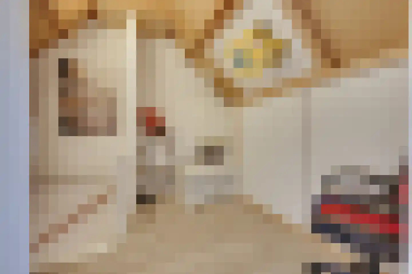 Reggestraat 8 Terneuzen thumbnail 31