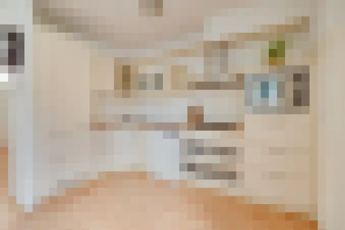 Reggestraat 8 Terneuzen thumbnail 4