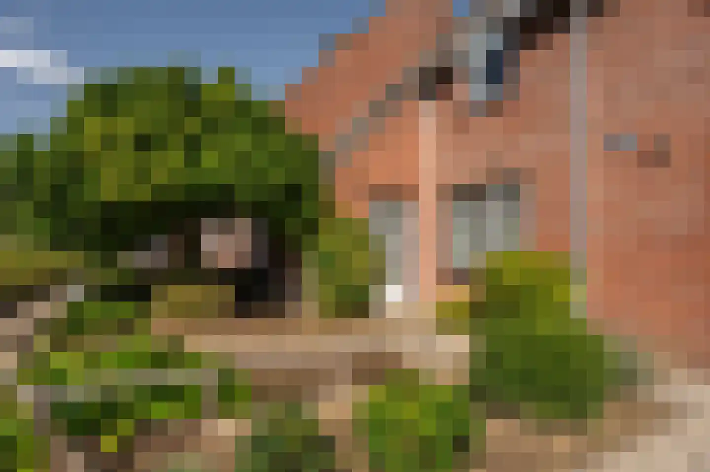 Reggestraat 8 Terneuzen thumbnail 40