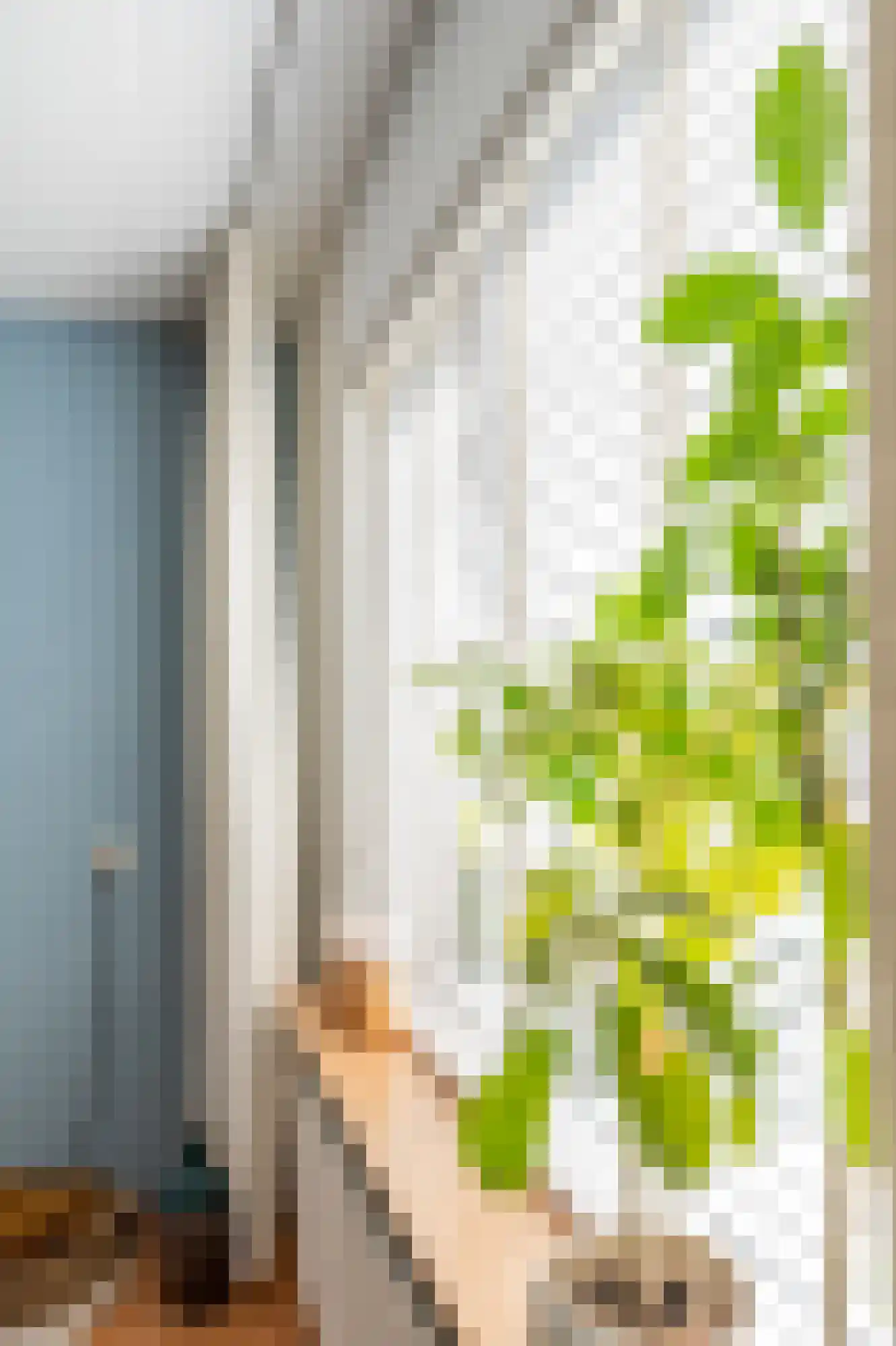 Reggestraat 8 Terneuzen thumbnail 9