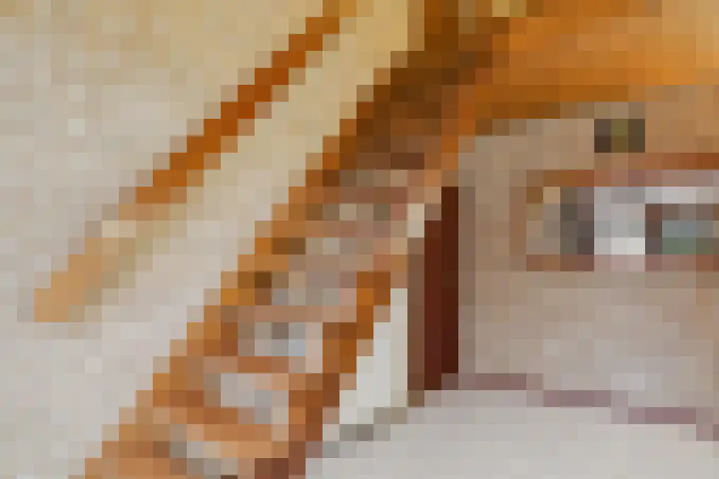 Reggestraat 9 Terneuzen thumbnail 27