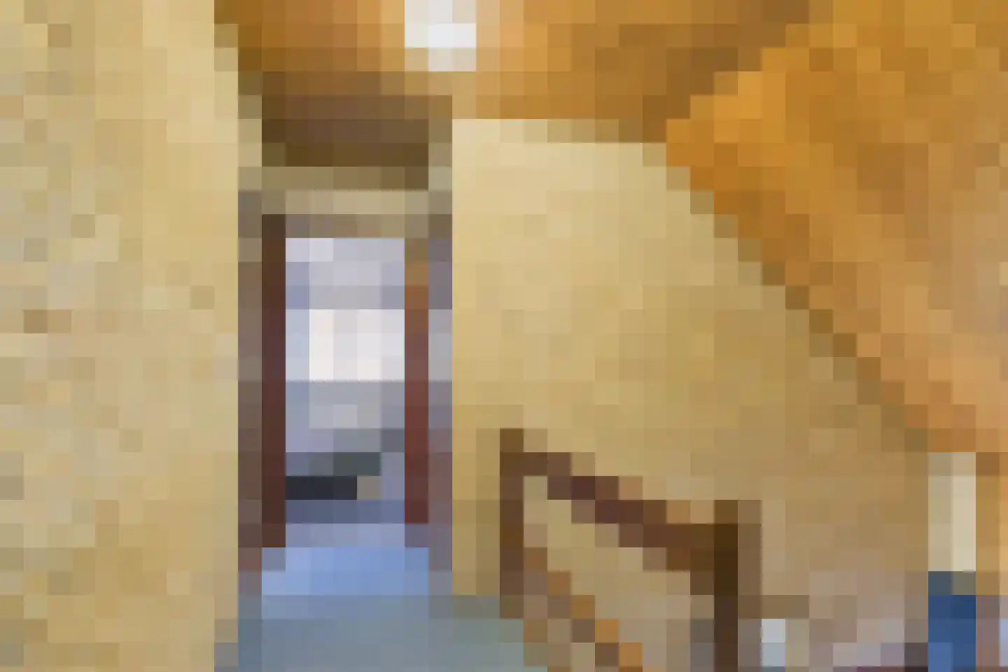 Reggestraat 9 Terneuzen thumbnail 31