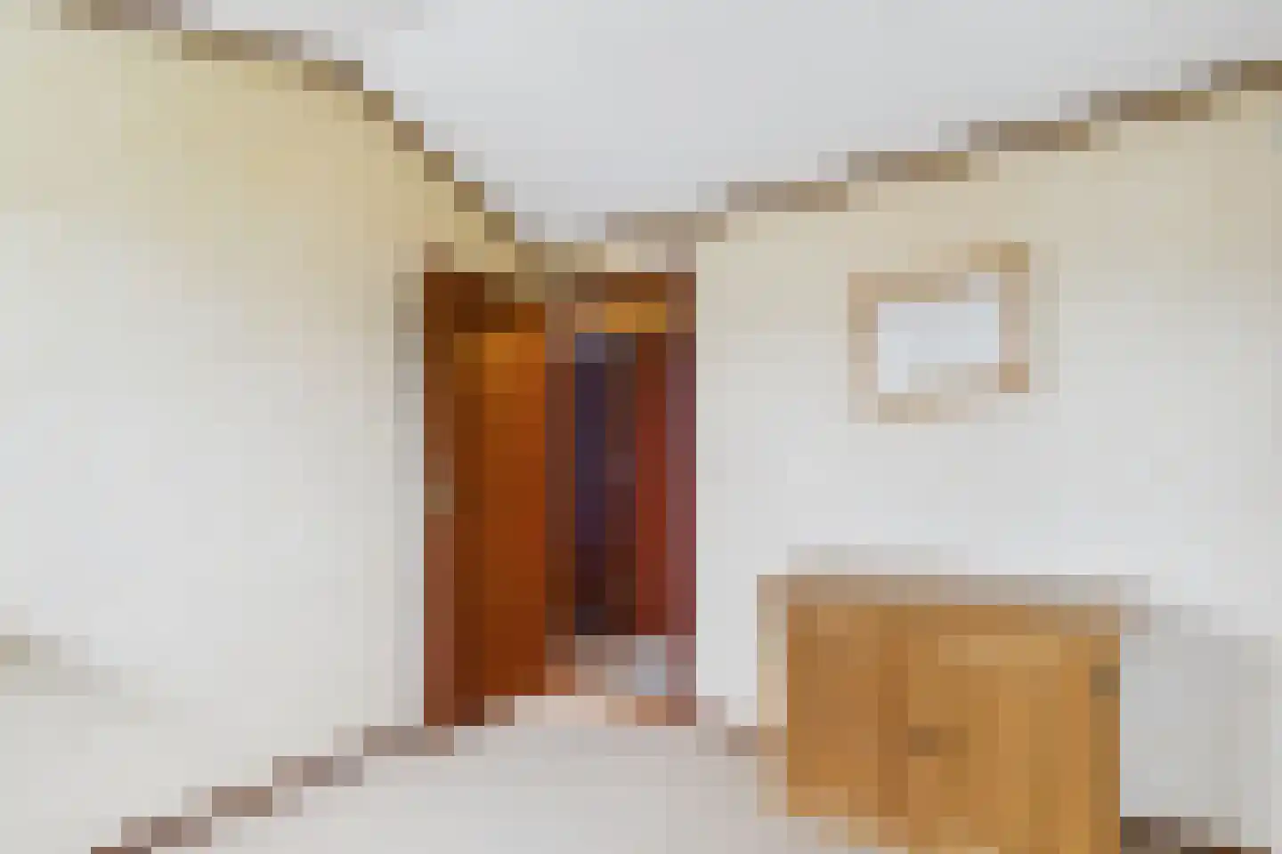 Reggestraat 9 Terneuzen thumbnail 36