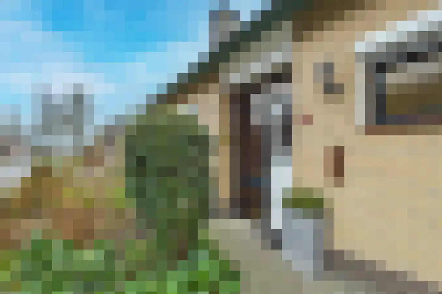 Reggestraat 9 Terneuzen thumbnail 5