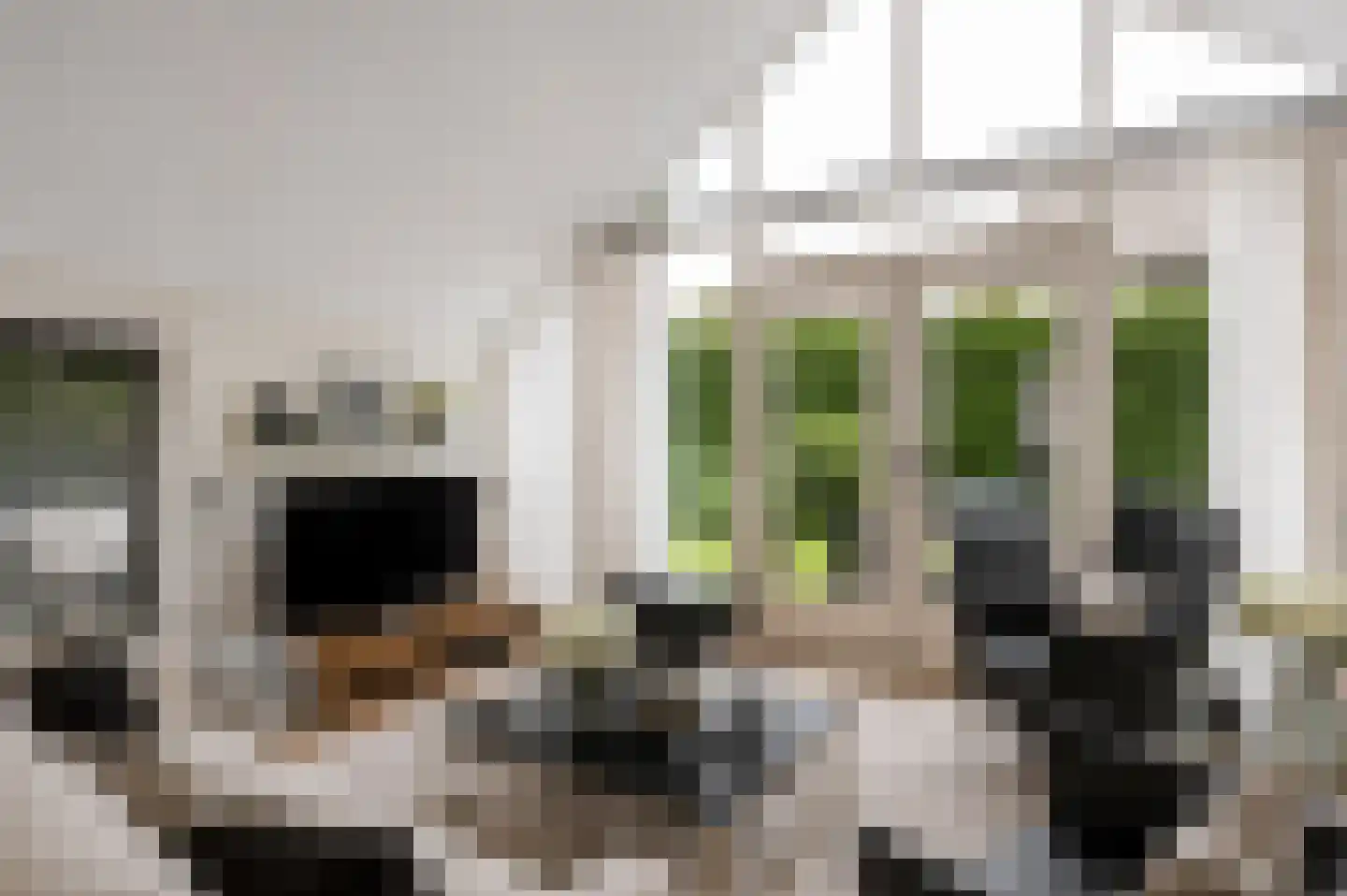 Reggeweg 11 Hellendoorn thumbnail 10