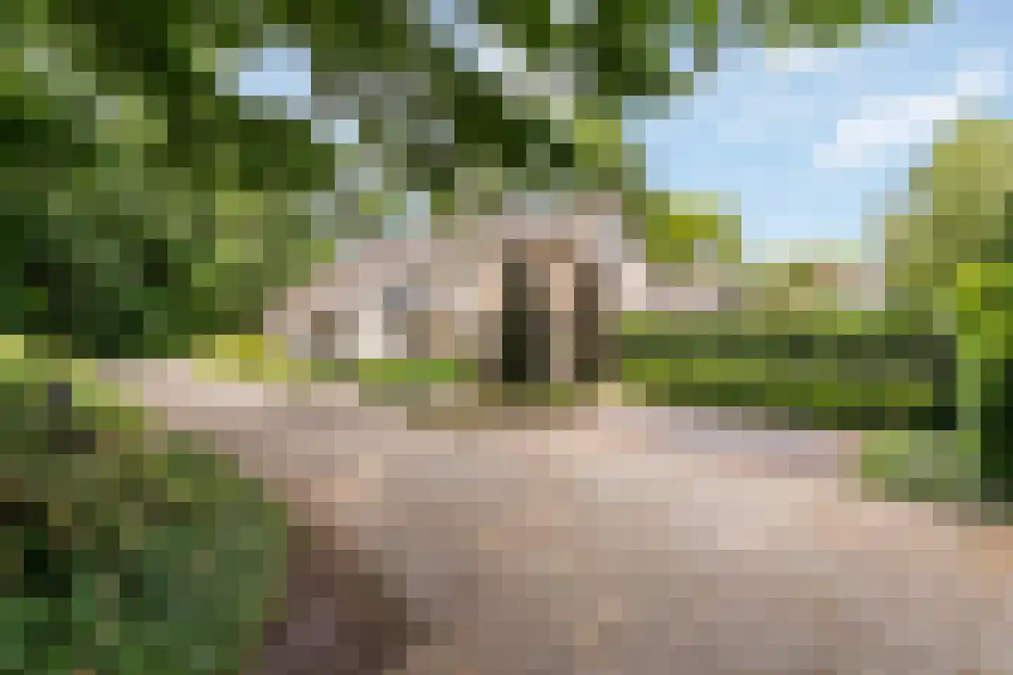 Reggeweg 11 Hellendoorn thumbnail 20