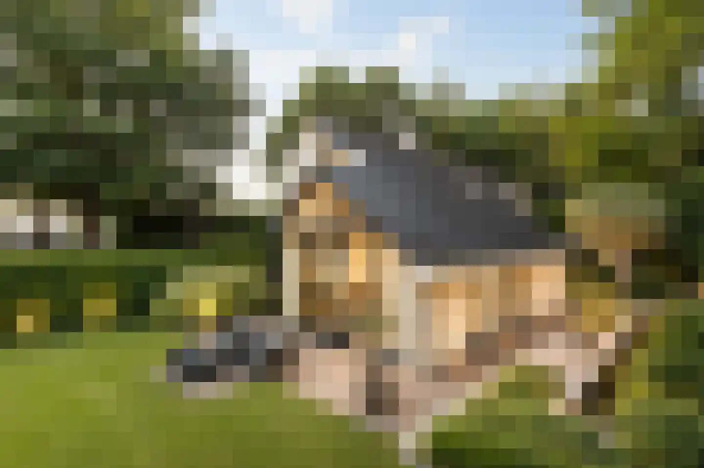Reggeweg 11 Hellendoorn thumbnail 4