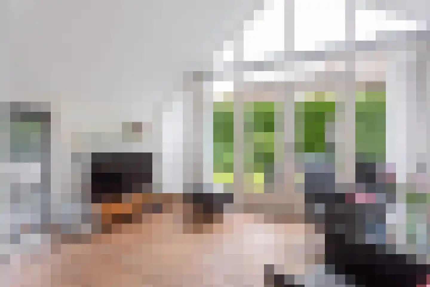 Reggeweg 11 Hellendoorn thumbnail 6