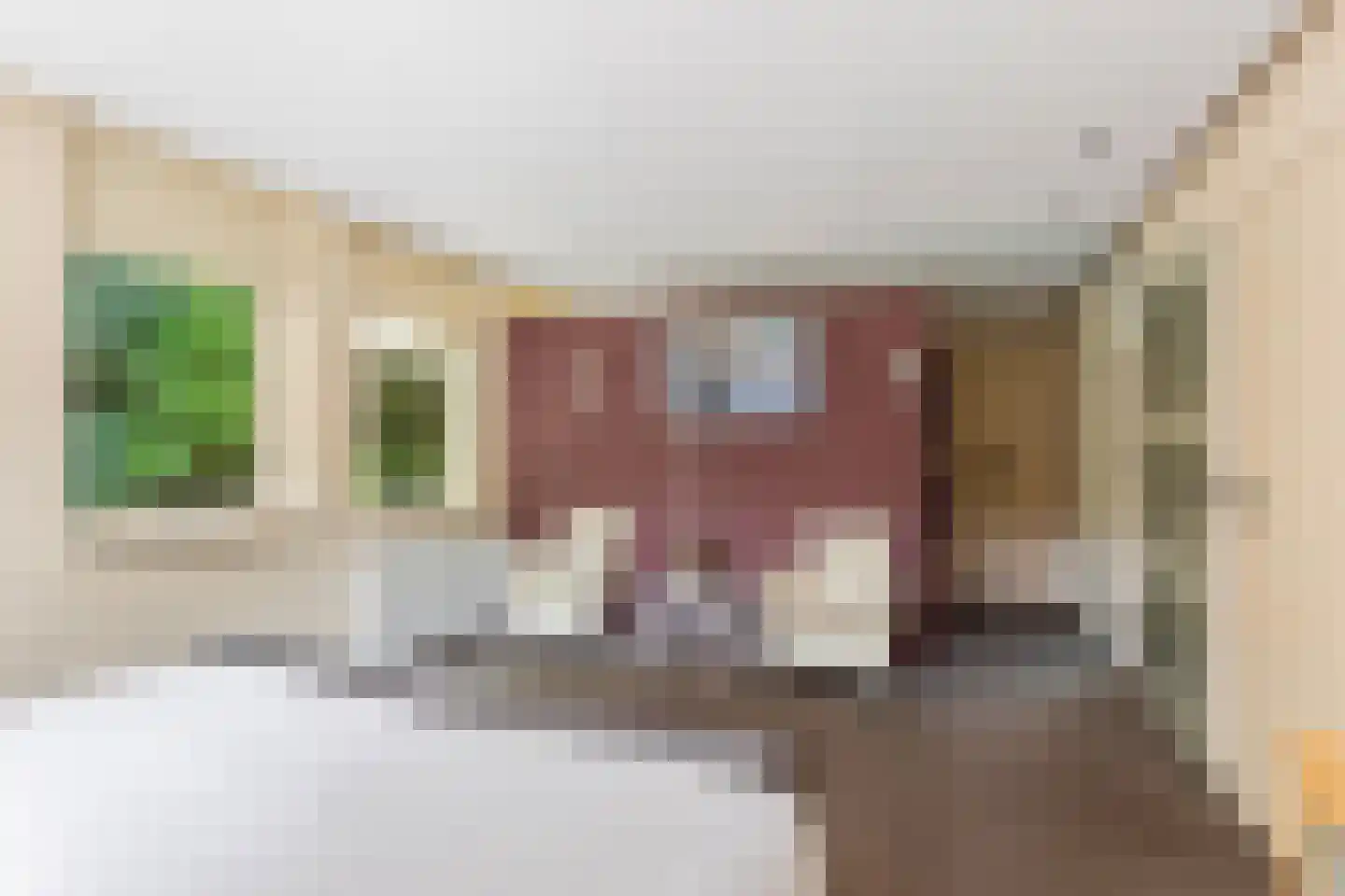 Reggeweg 11 Hellendoorn thumbnail 9